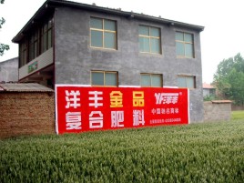 元江如何让墙体广告展现最大化效果