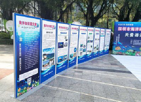 元江KT板的种类和知识。